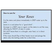 Care Card Roses