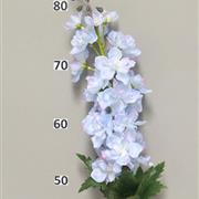 Delphinium Light blue