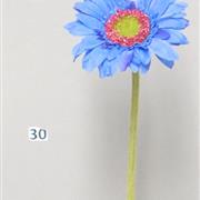 Gerberas Blue