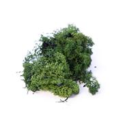 Finland Moss Dark Green