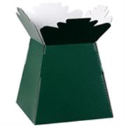 Bouquet Box Glossy DK Green