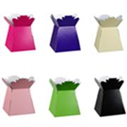 Bouquet Box Glossy Assorted 